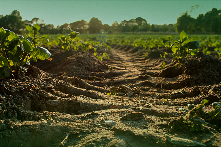 Seaside Resorts Permits